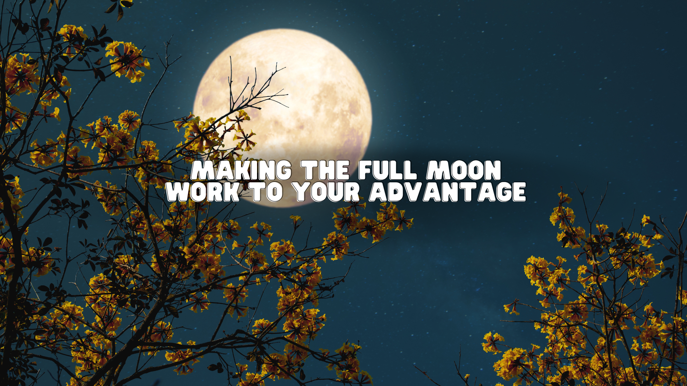 Making the Full Moon Work to Your Advantage